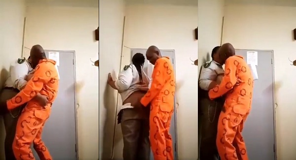 Female Prison Official Allows A Prisoner To Ch0p Her Free In His Cell Watch Now